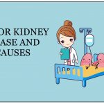 MAJOR KIDNEY DISEASE AND ITS CAUSES